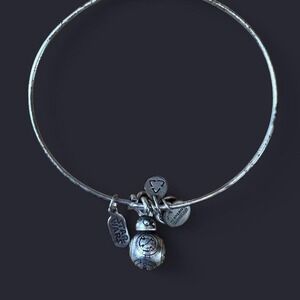 Star Wars BB-8 Alex and Ani Bangle Bracelet